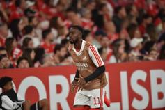 «Lukebakio não está pronto para ser titular do Benfica»