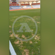 Imagens exclusivas mostram como está o estádio de Coimbra