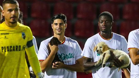 VÍDEO: Aves SAD entrou em campo com reforços... de quatro patas