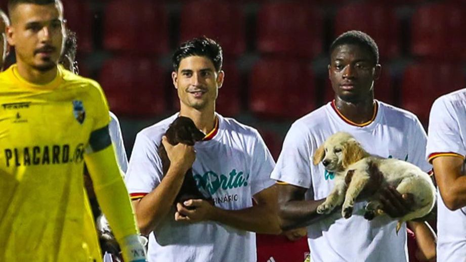 VÍDEO: Aves SAD entrou em campo com reforços... de quatro patas