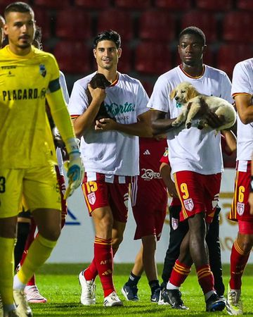 VÍDEO: Aves SAD entrou em campo com reforços... de quatro patas