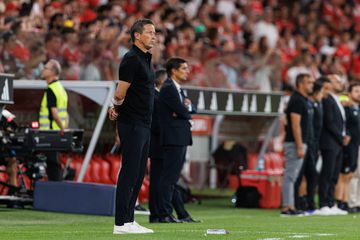 Roger Schmidt pode estar perto do regresso aos bancos e de um grande clube alemão