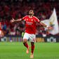 Pavlidis a festejar golo do Benfica na Luz