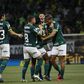 Palmeiras: «Esta equipa não olha para trás nem para o lado»