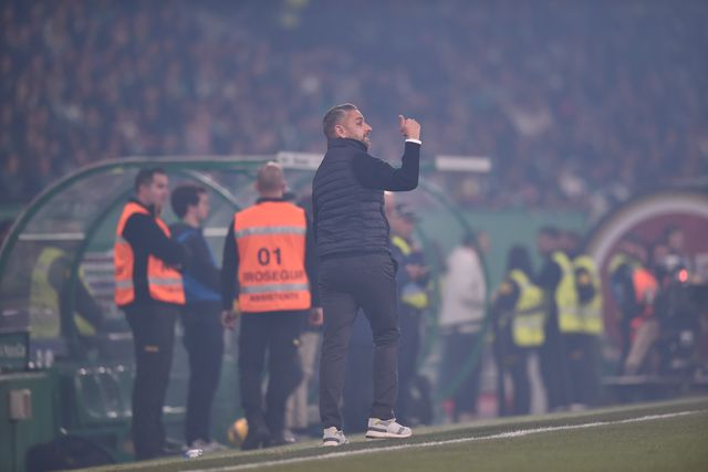 Rui Borges dá instruções a partir do banco na sua estreia como treinador do Sporting, na qual venceu o Benfica (foto: Miguel Nunes)