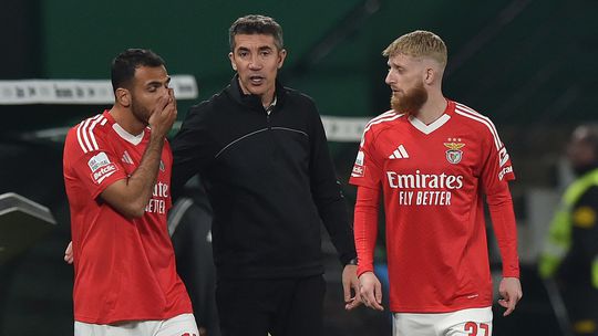 Conheça o plano de trabalho do Benfica no fim de ano