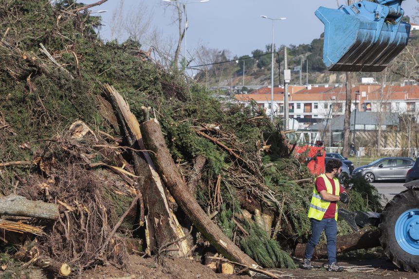 Voluntários ajudam na remoção de detritos provocados pela depressão Kristin, no centro de Leiria - Foto: Manuel de Almeida/LUSA