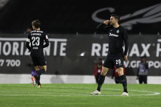 Paulinho a mostrar os dentes na sombra
