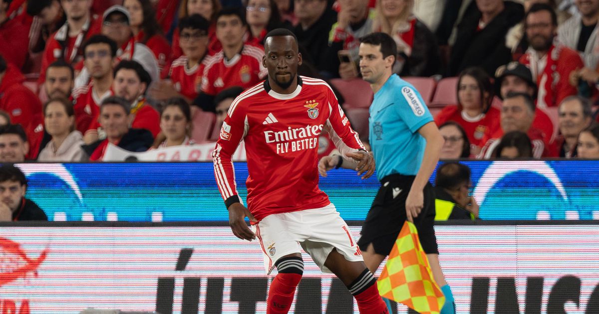 «Lukebakio faz poucos golos, mas tem potencial»