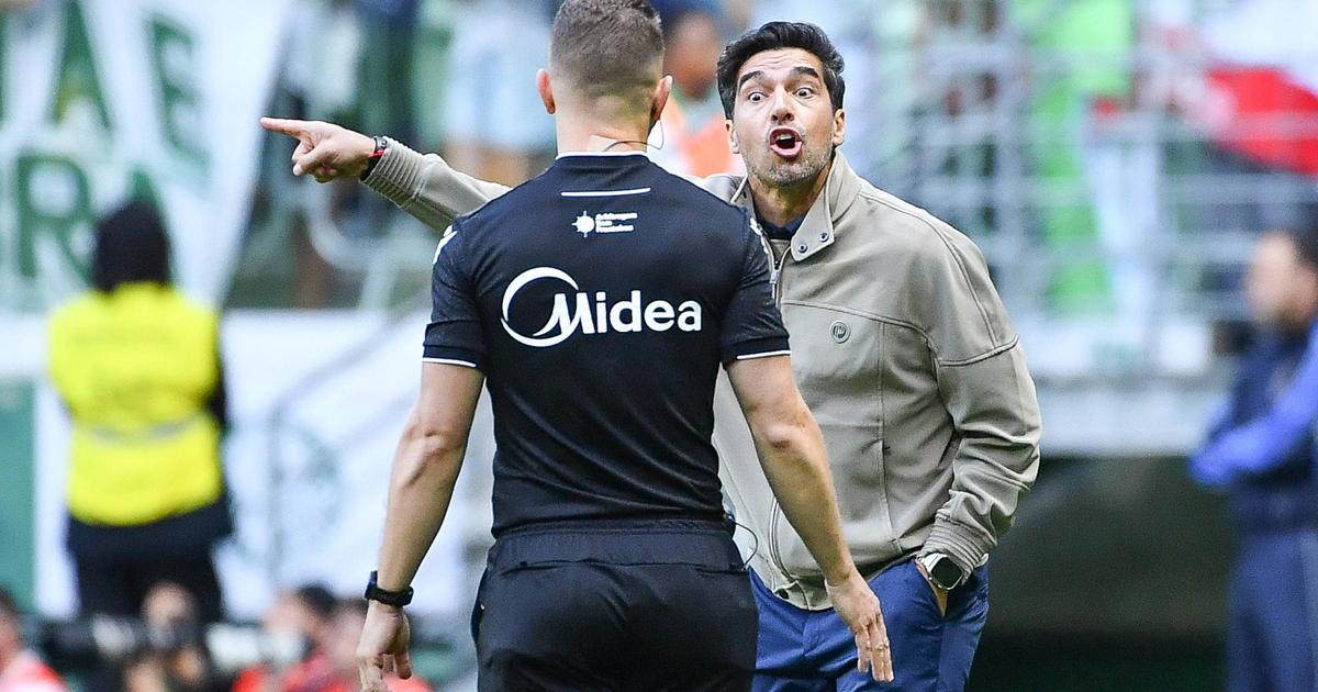 Abel Ferreira chega à marca dos... 100 cartões no Brasil