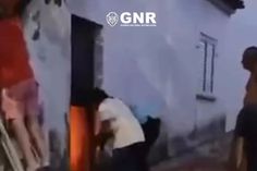 Guarda com ferimentos após salvar cão das chamas