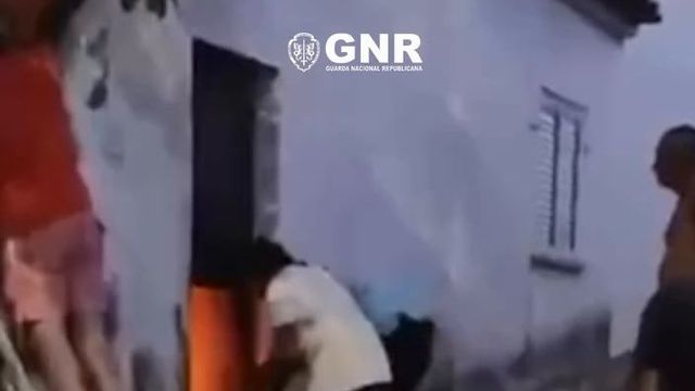 Guarda com ferimentos após salvar cão das chamas