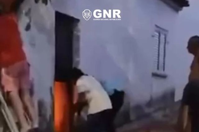 Guarda com ferimentos após salvar cão das chamas