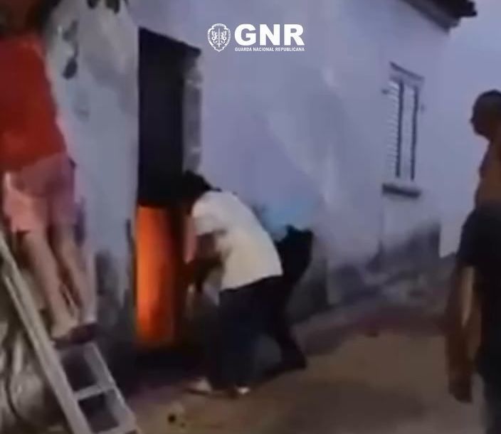 Guarda com ferimentos após salvar cão das chamas