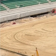 Veja como estão as obras no estádio do Sporting (vídeo)