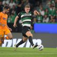 Há um leão da Suécia capaz de azedar um Porto vintage (crónica)
