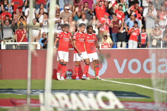 Benfica: Dedic e Ivanovic chamados às seleções