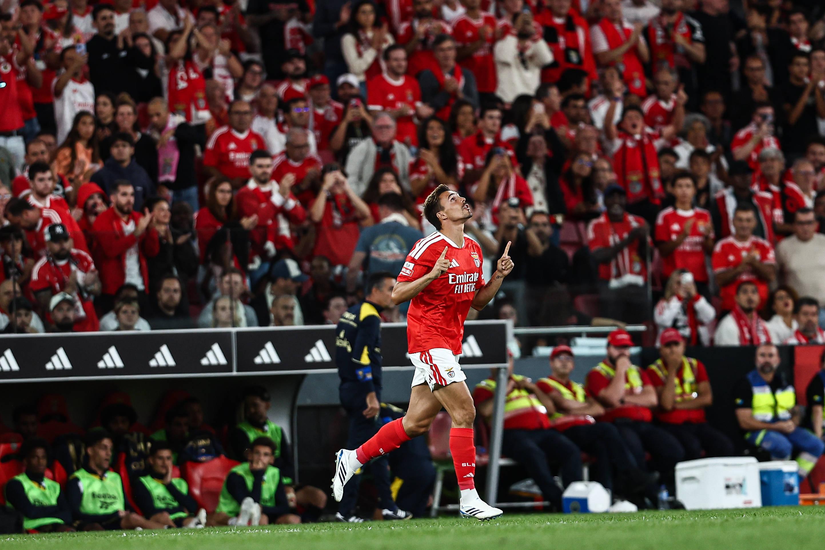 João Palhinha estreou-se pelo Benfica