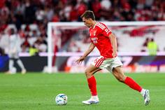 João Palhinha na estreia pelo Benfica