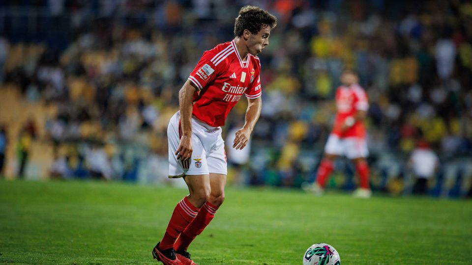 Vídeos: jogadores do Benfica pediram penálti nestes dois lances