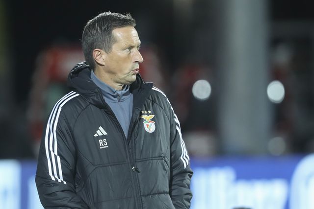 Roger Schmidt: «Guedes pode ser excelente opção no ataque»