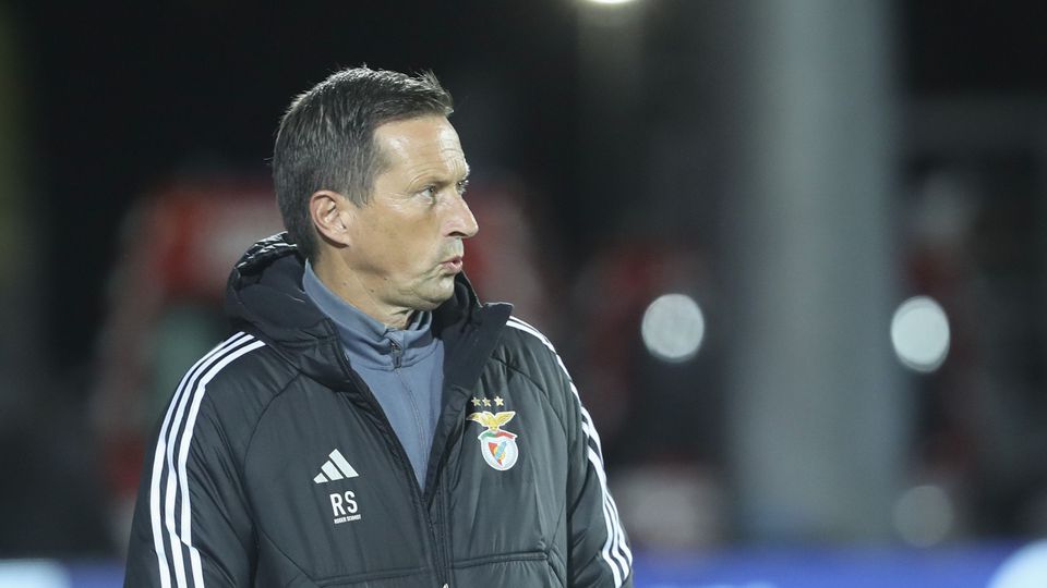 Roger Schmidt: «Guedes pode ser excelente opção no ataque»