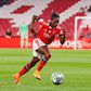 Diana Silva, avançada do Benfica