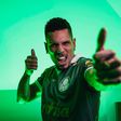 Paulinho, novo reforço do Palmeiras