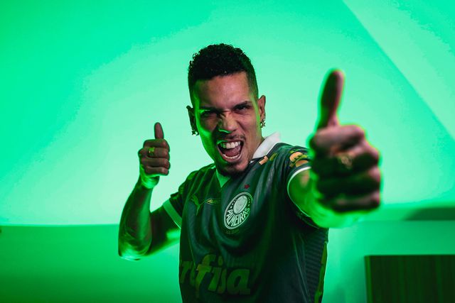 Paulinho, novo reforço do Palmeiras