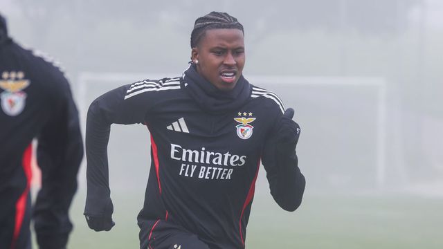 O esforço de Sidny - Foto: SL Benfica