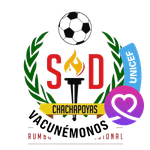 Logo Union Santo Domingo