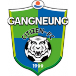 Logo Γκανγκνούν Σίτι