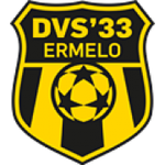 DVS 33 logo