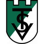 Logo VST Voelkermarkt