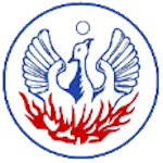 Naousa FC logo