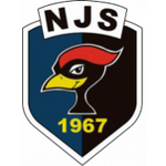 Logo NJS