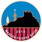 Logo Mardin 1969 Spor