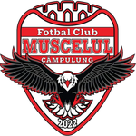 Logo Campulung Muscel