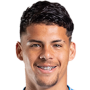 Maximiliano Araujo