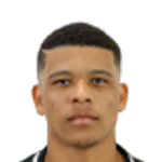 Vinicius Lopes