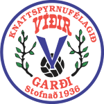 Logo Vidir