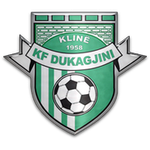 Logo Dukagjini