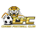 Logo Tigers FC