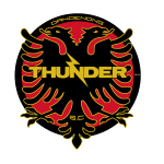 Dandenong Thunder SC logo