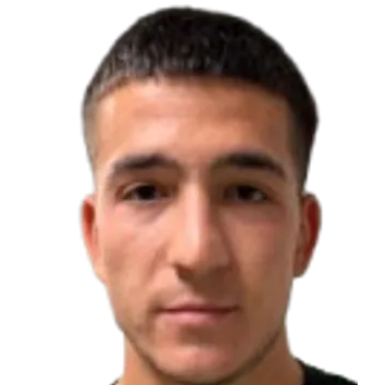 Стелиан Георгиев