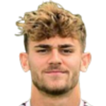 Leonardo Vonic