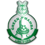Green Mamba logo
