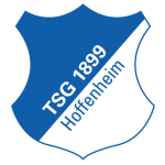 Hoffenheim U19 logo