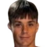 Василие Новичич