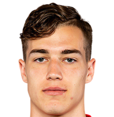 Luka Sucic